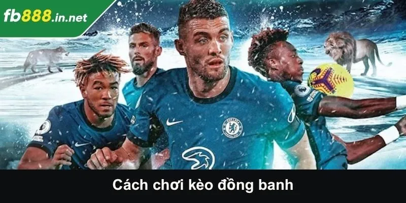 Cách Chơi Kèo Đồng Banh - Bí Quyết Tăng Tỷ Lệ Thắng